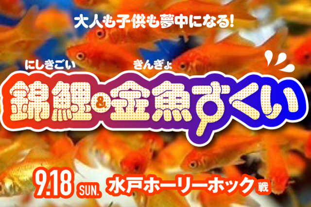 ９月18日（日）水戸戦で「錦鯉・金魚すくい」を開催！
